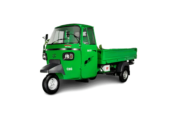 Baxy Mobility Super King