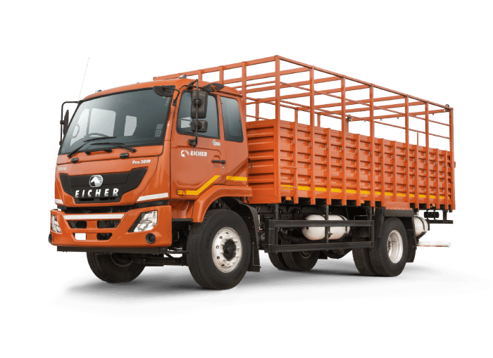 Eicher Pro 3019