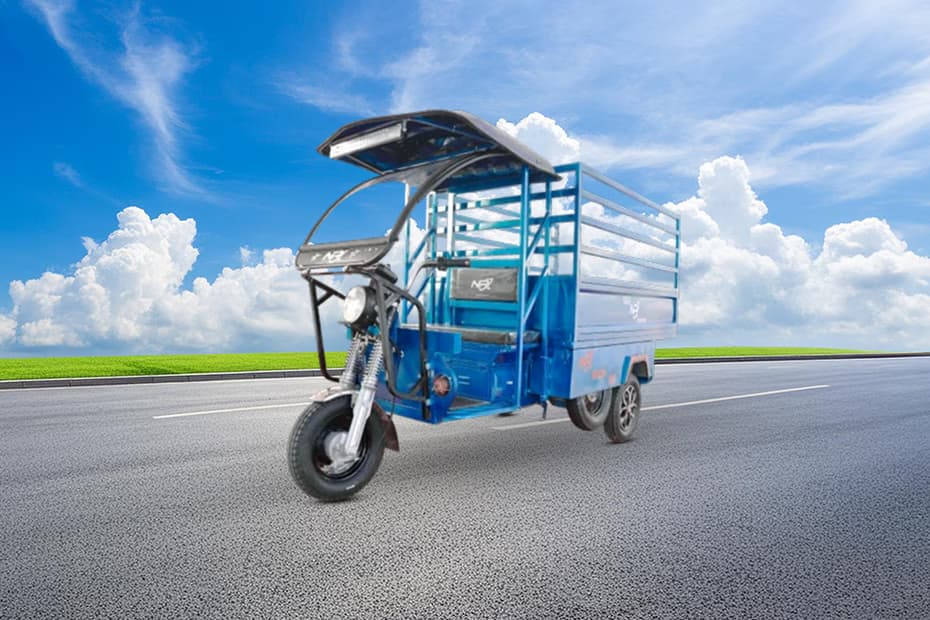 NRJ Electric Motor RICH 100 Full Body Loader